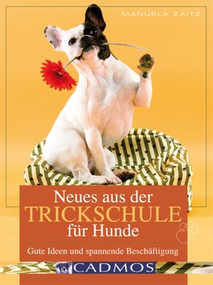 cover image of Neues aus der Trickschule für Hunde